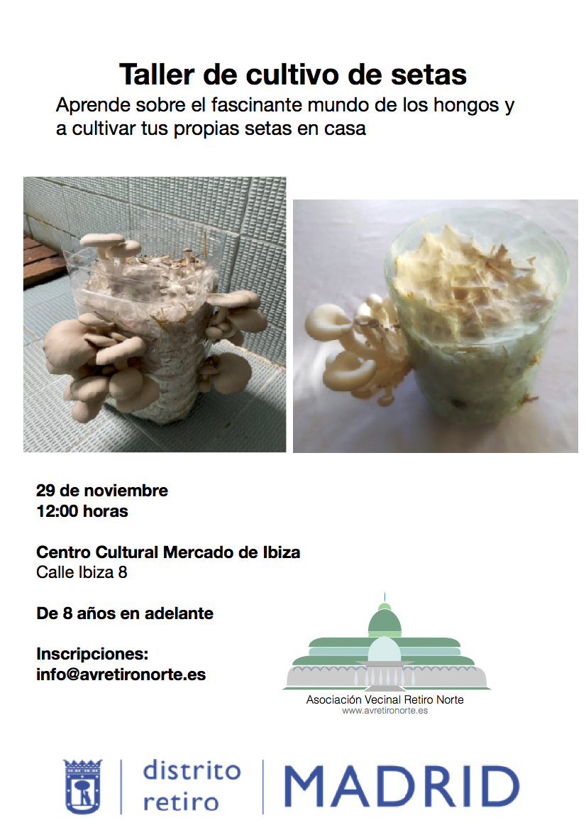 Taller de cultivo de setas, 29 noviembre